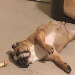 Meet your Posher, Corey